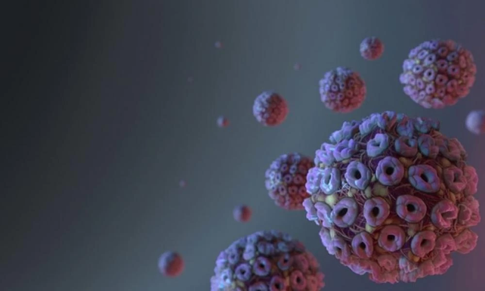 Κορονοϊός: Πόρισμα ΠΟΥ για την πηγή μετάδοσης